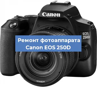 Замена зеркала на фотоаппарате Canon EOS 250D в Челябинске